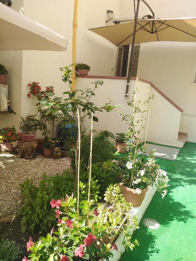 Flowered House With Garden Alguer Exterior foto